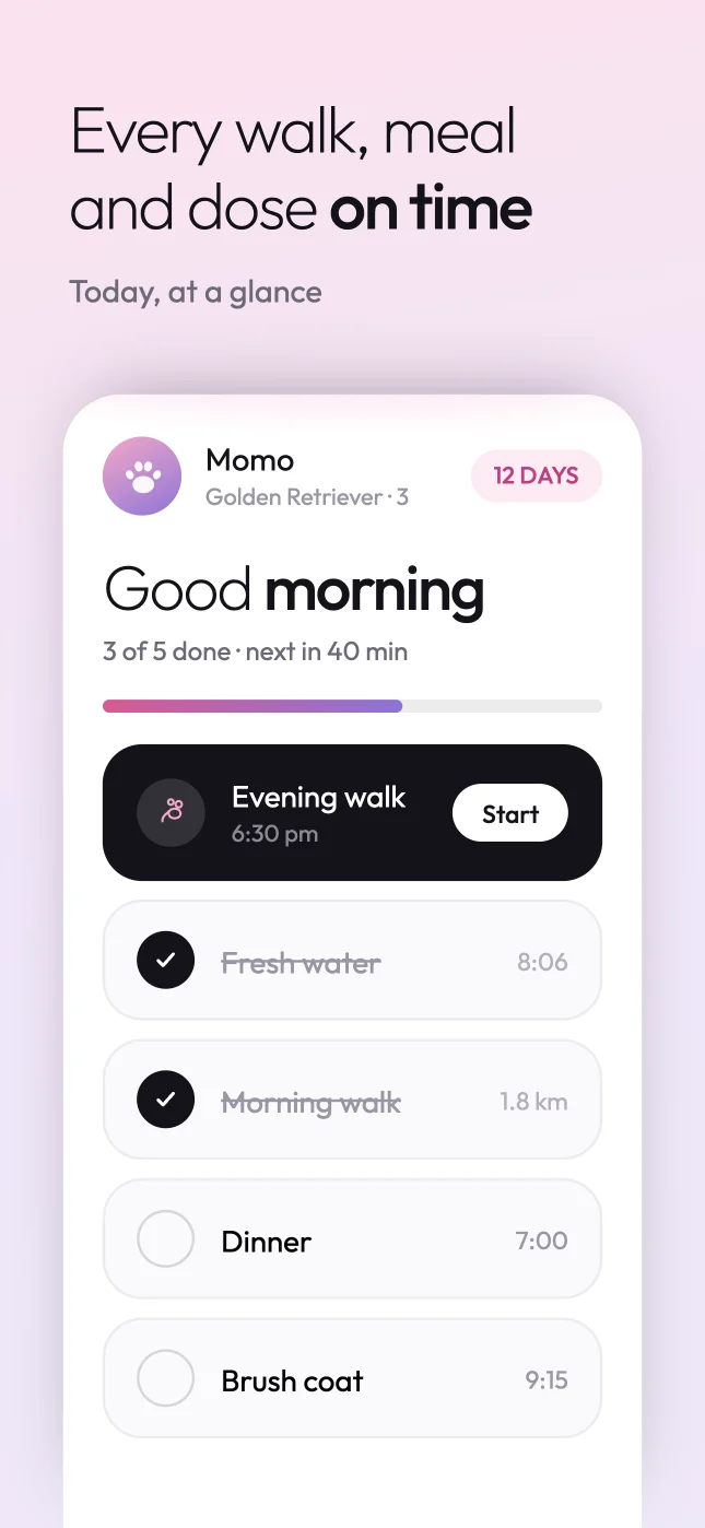 Woogie today screen: every walk, meal and dose on time