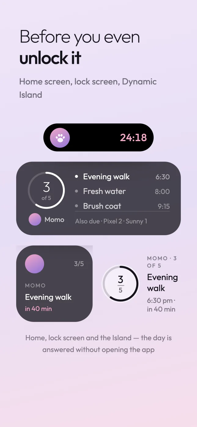 Woogie home screen, lock screen and Dynamic Island widgets