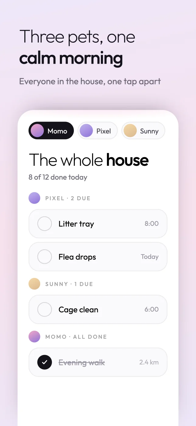 Woogie multi-pet screen: three pets, one calm morning